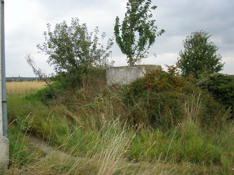 Foto 14